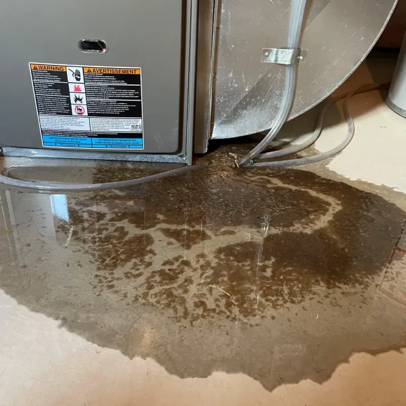 Appliance Leak Cleanup in Franklin County, VT